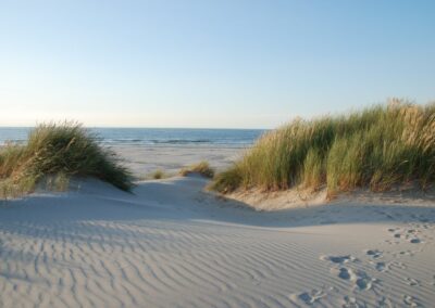 Schiermonnikoog duinen strand